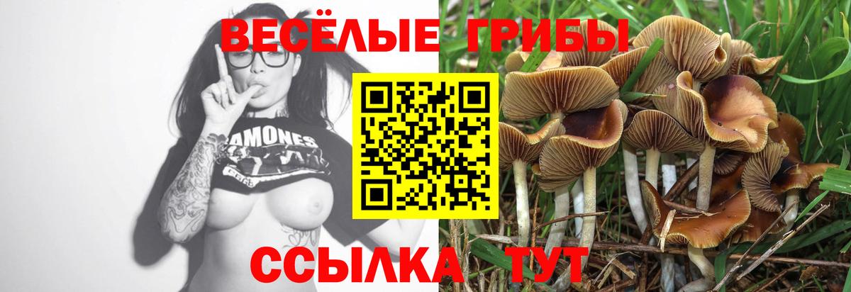 Галлюциногенные грибы GOLDEN TEACHER Пугачёв